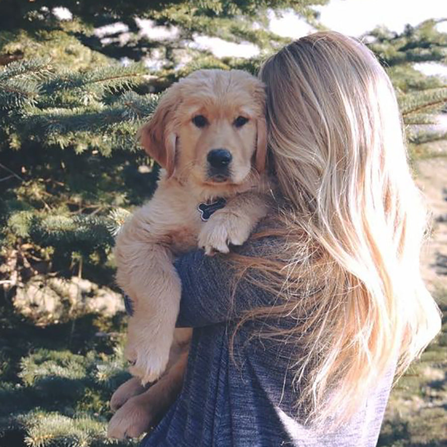 Adult Golden Retriever Onesie Costume – Dog Lover Pajamas with Realistic Puppy Details for Lounging & Cosplay
